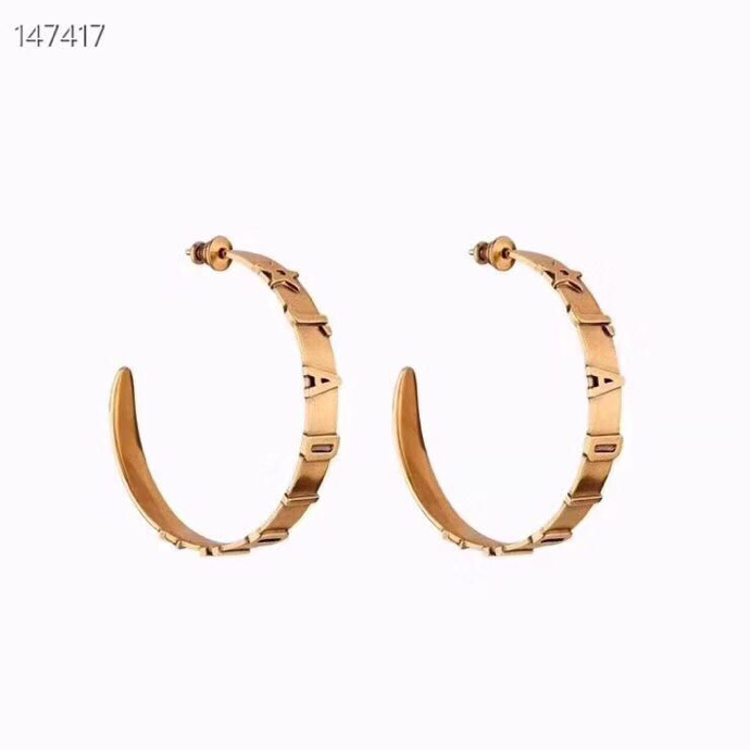 Dior Earring 04lyr359